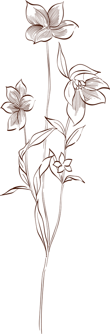 Hand Drawn Branch of Brown Flower Element.